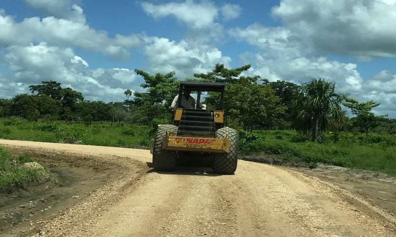 Apertura de caminos